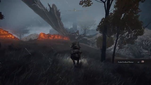 ELDEN RING - INSANE EXPLOIT - 75K Runes Free - How to Kill The Biggest Dragon in the Game смотреть онлайн