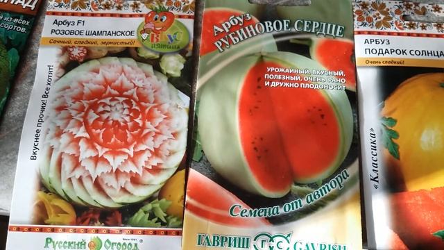 Выращивание арбузов в Липецкой области. 14.03.2019г. Начало....... смотреть онлайн