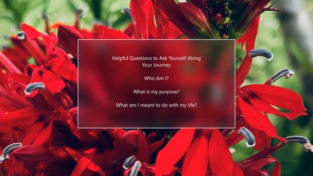 Red Ecotherapy Sound Meditation смотреть онлайн