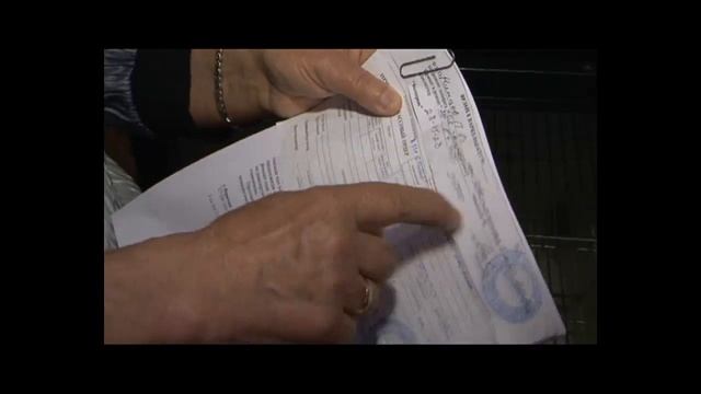 Добро пожаловаться: мастер по ремонту бытовой техники продолжает «обувать» братчан смотреть онлайн