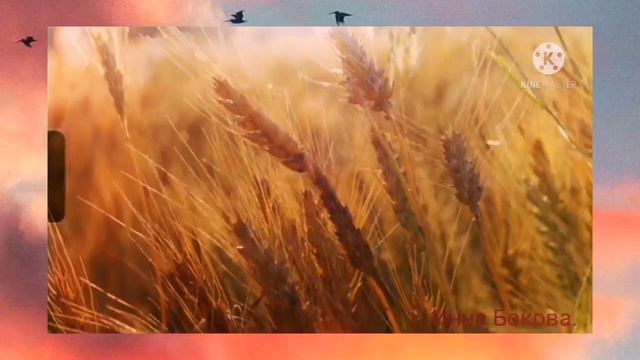 Спускается над озером закат... смотреть онлайн