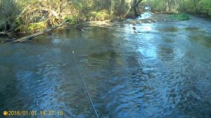 Рыбалка на горной реке в хабаровском крае