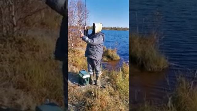 Когалым рыбалка Ловим мелоч смотреть онлайн