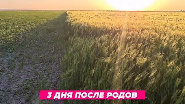 Выписка из роддома ????Первый раз взял сына на руки! Самые важные и счастливые две недели! смотреть онлайн
