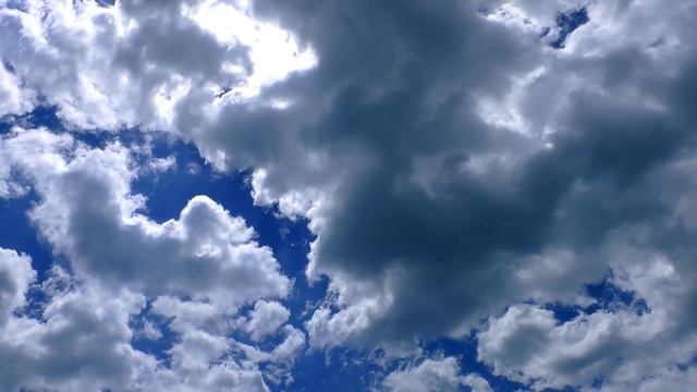 Не забывайте матерей Они живут для нас смотреть онлайн