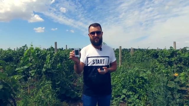 Нитратомер Greentest определяет количество нитратов в овощах и фруктах смотреть онлайн