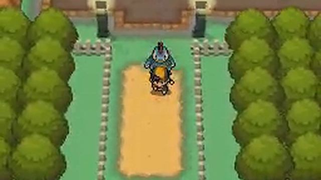 Pokemon Heart Gold - Walkthrough Part 51 - Leader Brock! смотреть онлайн