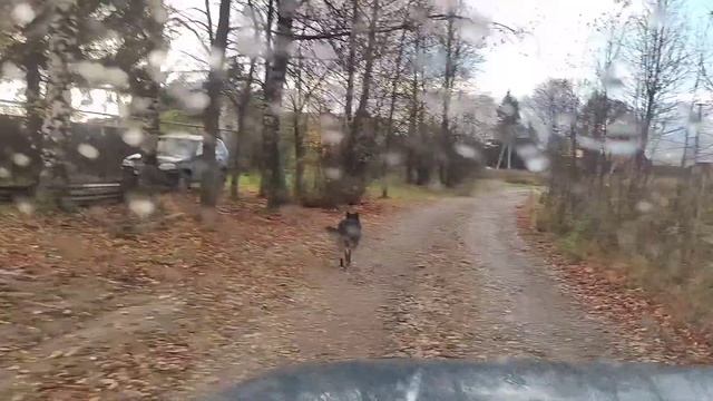 Жизнь в деревне: поиск древних артефактов | нашли метеорит смотреть онлайн