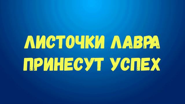 Магические свойства лаврушки/ Узнайте об этих свойствах прямо сейчас. смотреть онлайн