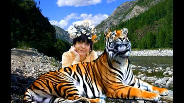 #Хромакей. Тигр. Возможность хромакея. смотреть онлайн