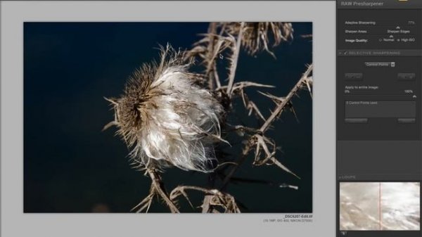 Nik Collection - Episode 6: RAW Presharpener