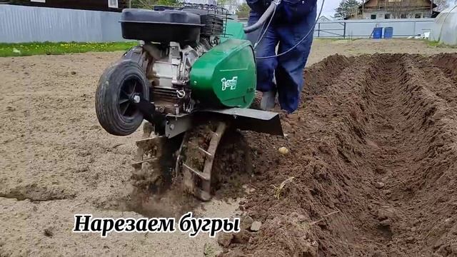 Наш способ посадки картофеля. Как посадить картофель. Садим картошку. смотреть онлайн