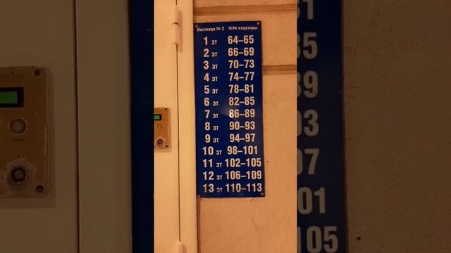 Чем Питер лучше Москвы? Парадными! смотреть онлайн