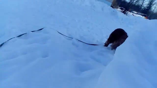 И опять гуляем! смотреть онлайн