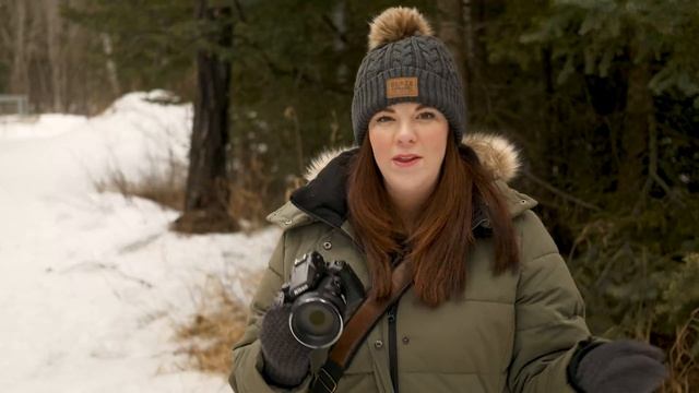 Unfair Fun Shootout: Nikon P950 Vs. Nikon Z7 II