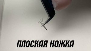 СОЗДАЕМ ИДЕАЛЬНЫЙ ПУЧОК. ОБЪЕМНОЕ НАРАЩИВАНИЕ РЕСНИЦ