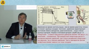 Вячеслав Дубынин: "Сосудистая система" (Лекция 7)