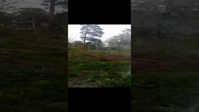 VID_20210515_173720.3gp