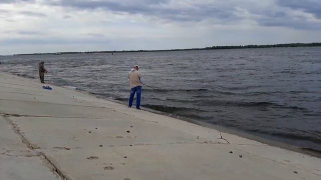 Волга, Светлый яр селёдка с Каспия пошла смотреть онлайн