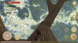 НОВАЯ ИГРА СИМУЛЯТОР БЕЛКИ 2 ОНЛАЙН