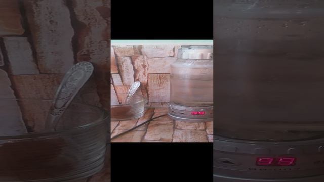 Авто чайник