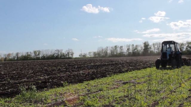 Дискование поля МТЗ-80.1 с тяжелой бороной БДТ-7(без крыльев)в том числе трудного пырейного участка смотреть онлайн