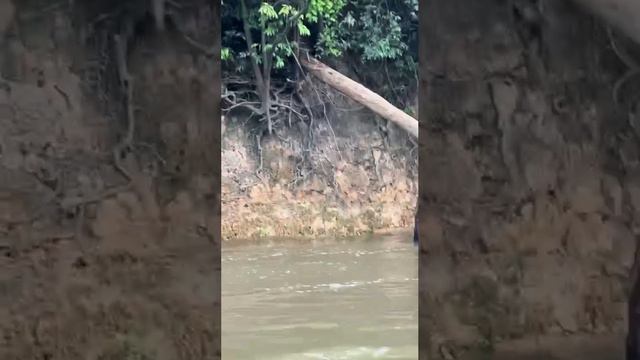 Кто-то пометил уловистое место😁