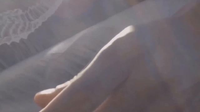 KotovSky–Она ходит по пляжу (Недоциник) Стихи смотреть онлайн