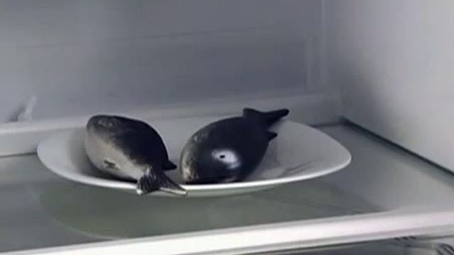 Холодильники ATLANT серии CLASSIC смотреть онлайн