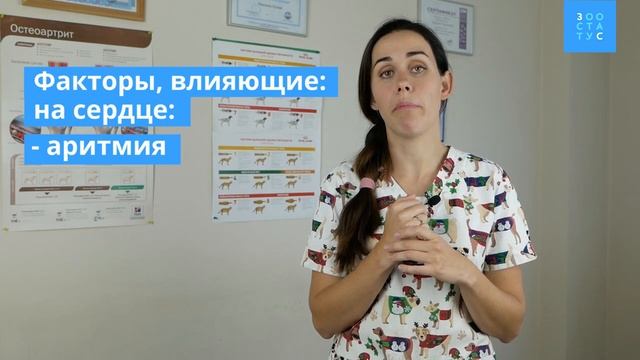 Кардиомиопатия у собак (болезни сердца у собак) смотреть онлайн