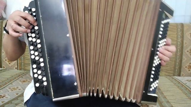 ЕВГЕНИЙ КРЫЛАТОВ - МУЗЫКА из м/ф "ВЕРНИТЕ РЕКСА" [на баяне] смотреть онлайн