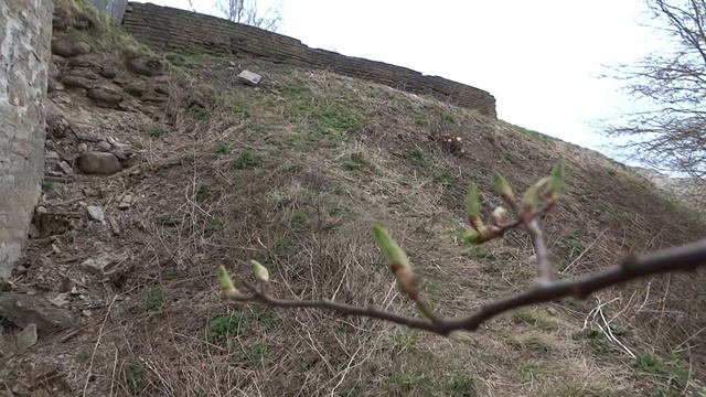 Старая Ладога смотреть онлайн