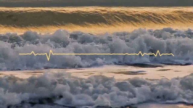 Unlock Your Passion: The Energy and Excitement You Need for Success! | Mel Robbins смотреть онлайн
