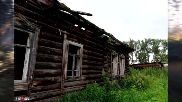 Вот это поворот! Переехали в заброшенную деревню 2022 | отшельники | поход в лес | срочные новости! смотреть онлайн