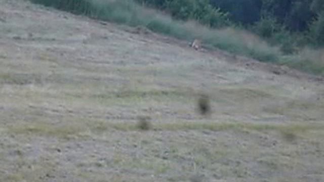 P1030495 смотреть онлайн