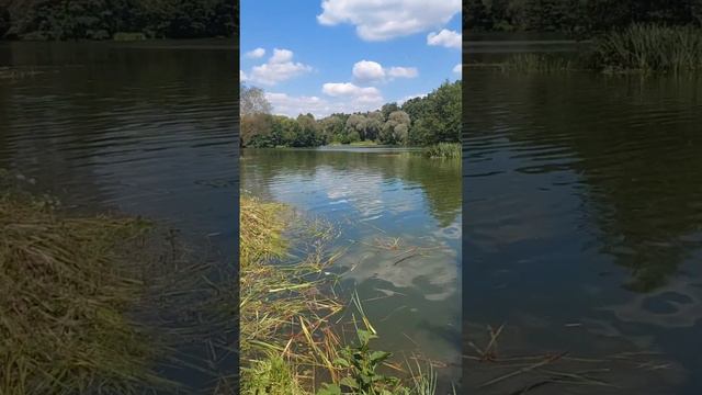 Озеро Кратовское, Раменское #travel #russia #озеро #раменское #отдых смотреть онлайн