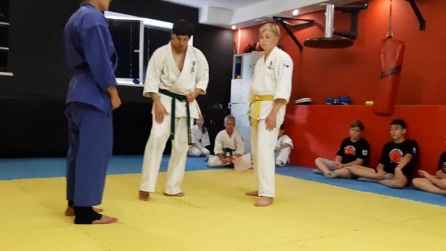 Правила соревнований по Каратэ Киокушинкай. Краткий обзор. смотреть онлайн