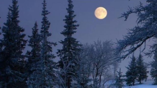 Без слов понятно. Из рассказа человека у костра, все стало ясно. Рассказывает Евгений Бовкун. смотреть онлайн