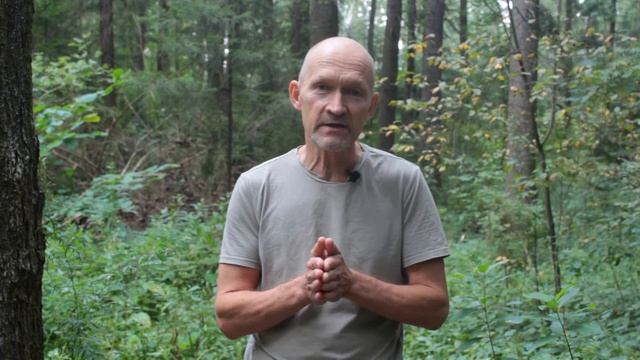 Дикорастущая практика, с чего начать? смотреть онлайн