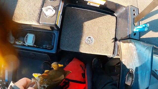 Championship Saturday By The Skin Of My Teeth- MLF Toyota Series St Lawrence River смотреть онлайн