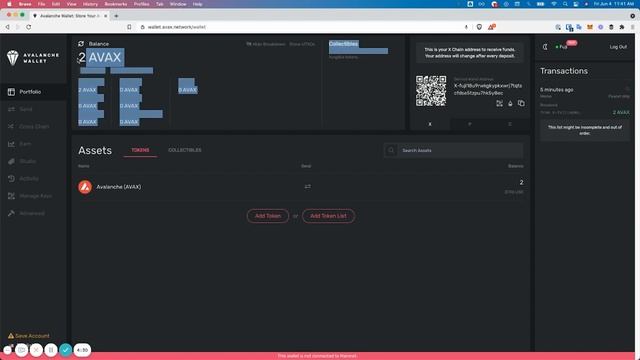 What do I do if Avalanche Wallet Shows No Balance? | Avalanche Tutorials смотреть онлайн