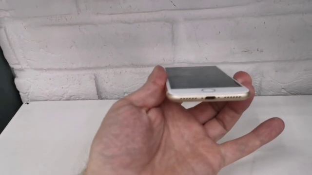 Видео №313973