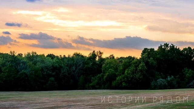 Сегодня звонила твоя Настя. Та самая, о которой я не знала 7 лет. И да, еще… смотреть онлайн