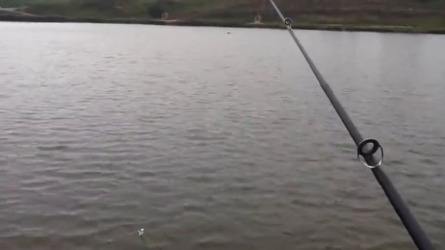 Кораблик для прикормки производство 89101419101 смотреть онлайн