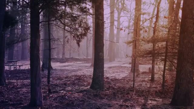 Умар Хишам. Очень красивое чтение Корана. смотреть онлайн