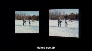 Обзор на прибор  ночного видения для военных охота NV8000