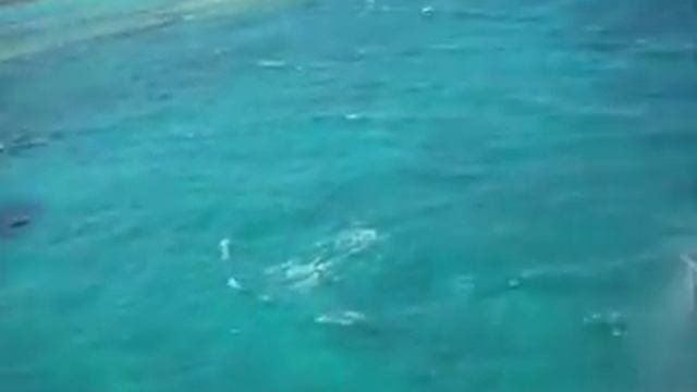 Отдых в Греции. Остров Элафонисос. смотреть онлайн