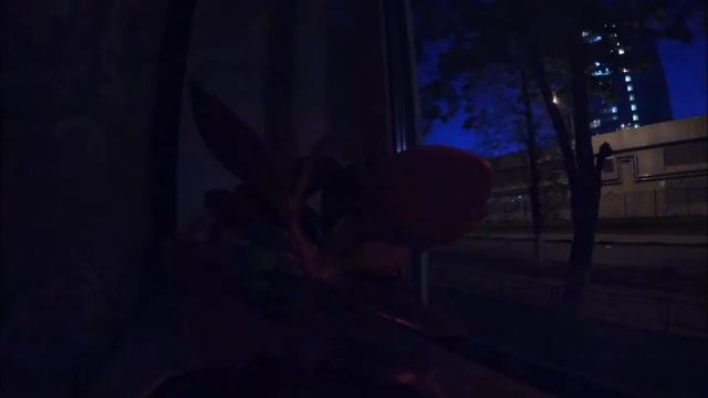 Тайная жизнь домашних растений (The Secret Life of Plants) смотреть онлайн