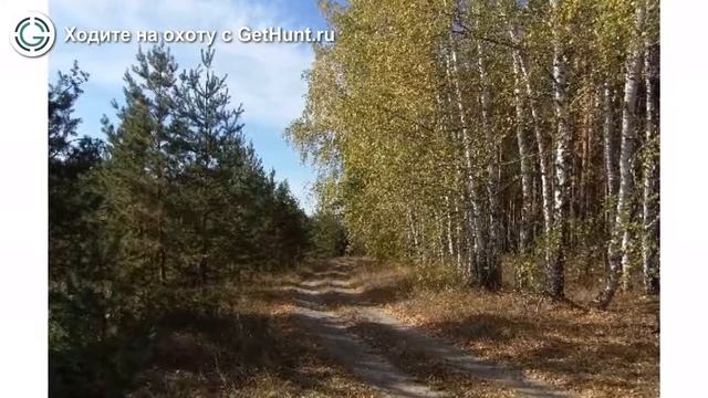 Охота в Белгородской области – GetHunt Белгород охота на Благородного оленя Европейского смотреть онлайн