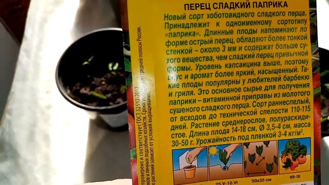 Пикировка Перца"СЛАДКАЯ ПАПРИКА" часть2. 28.02.2020г. смотреть онлайн